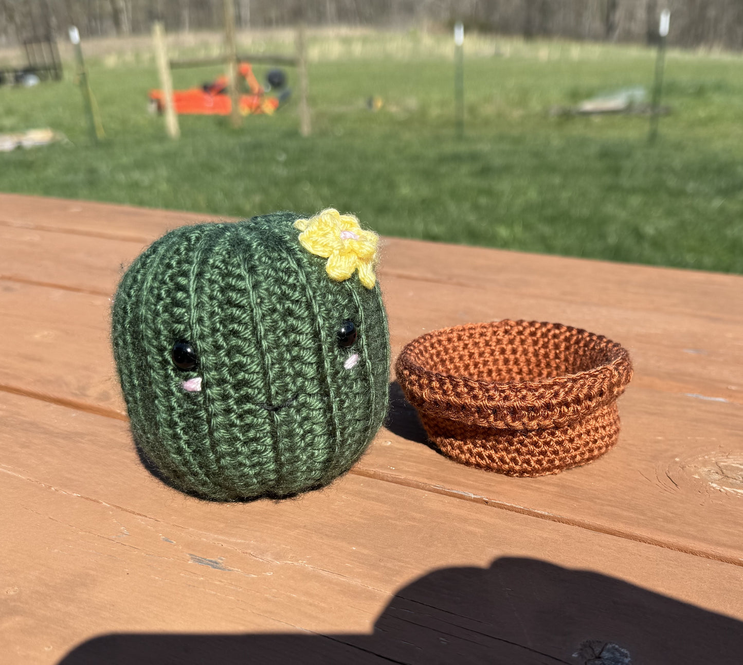 Barrel Cactus Amigurumi